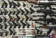 Wall display with handguns and rifles for sale