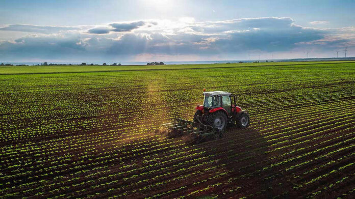 436506028 Tractor plowing a vast green field at sunset