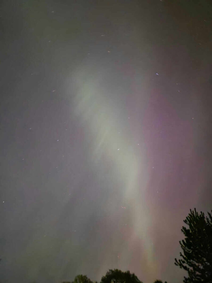 dev-testing-ds1 Night sky with Northern Lights and tree silhouette
