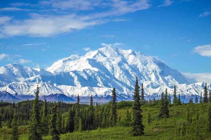 Snow-covered mountain under blue sky with green foreground