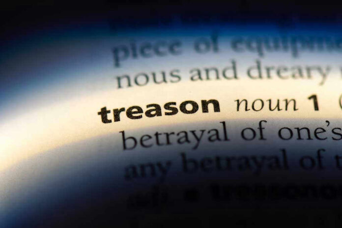 1155306532 The word treason highlighted in a dictionary.