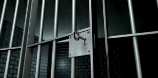 Close-up of a locked prison gate with metal bars