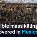 Mexicans searching for missing relatives uncover site of an