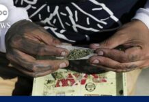 Cannabis legalization debate shifts as federal reclassification