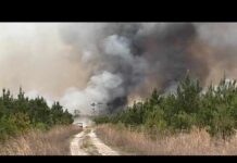 LIVE: New update as raging wildfires destroy homes, force