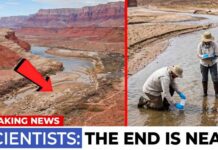 Scientists JUST REVEALED that Colorado River Will Collapse