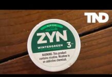 Zyn, popular smoke-free nicotine pouches, latest target of