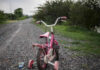 Devastating Depopulation Trend—Economic Collapse Looms Pink childrens bike with training wheels on gravel path.