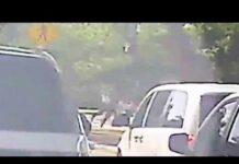 Dashcam video shows National Mall shooting involving