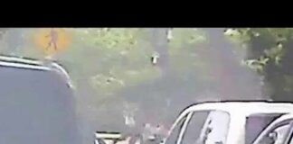 Dashcam video shows National Mall shooting involving