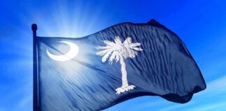 South Carolina state flag waving against a blue sky