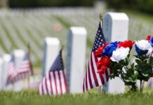 Arlington’s Secret: 260K Flags in Hours American flags and flowers placed at graves in a cemetery