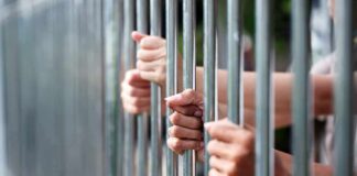 Hands gripping metal prison bars