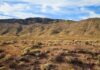 Mass Graves Exposed at ‘No‑Kill’ Sanctuary A vast desert landscape with a mountain range under a blue sky