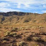 Mass Graves Exposed at ‘No‑Kill’ Sanctuary A vast desert landscape with a mountain range under a blue sky