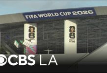 The World Cup is changing minds about America Visiting World Cup fans offer honest opinion of U.S. as host country
