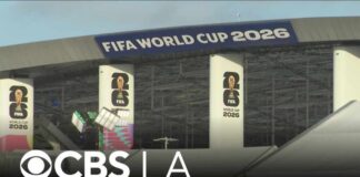 Visiting World Cup fans offer honest opinion of U.S. as host country