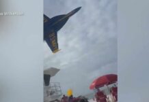 Beach Chaos After Blue Angels Dive Blue Angels jet flies very low over crowd at Pensacola Beach