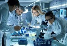 Scientists working together in a laboratory