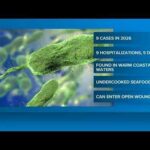 5 deaths in Louisiana linked to warm-water bacterial infection