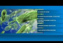 5 deaths in Louisiana linked to warm-water bacterial infection