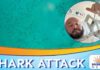 Shark Frenzy Near Key West Florida Man Recalls Terrifying 7-Foot Nurse Shark Bite Near Key West