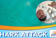 Shark Frenzy Near Key West Florida Man Recalls Terrifying 7-Foot Nurse Shark Bite Near Key West