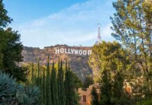 Prior Felon Tied To Hollywood Killings Hollywood Sign on hillside framed by trees