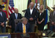 Trump announces cattle industry policy changes, targets delisting gray wolves from endangered list