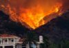 Wildfire Cash Blended With ICE Hardship Aid Wildfire engulfs hillside behind a suburban house