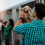 1,500 Puppies Shipped – Who Approved This? Man holding a puppy at an animal shelter