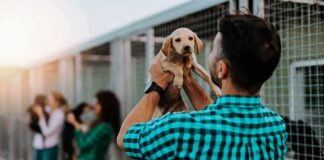 Man holding a puppy at an animal shelter