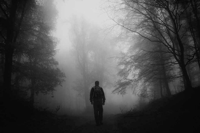 shutterstock_1081254965 Hiker walking alone on a foggy forest path
