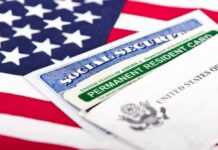 Vance Hammers Microsoft – Green Cards Frozen U.S. documents including Social Security card and Permanent Resident Card