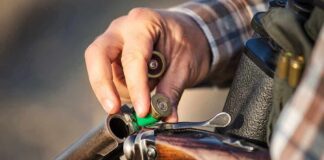 Hand loading shells into a break-action shotgun