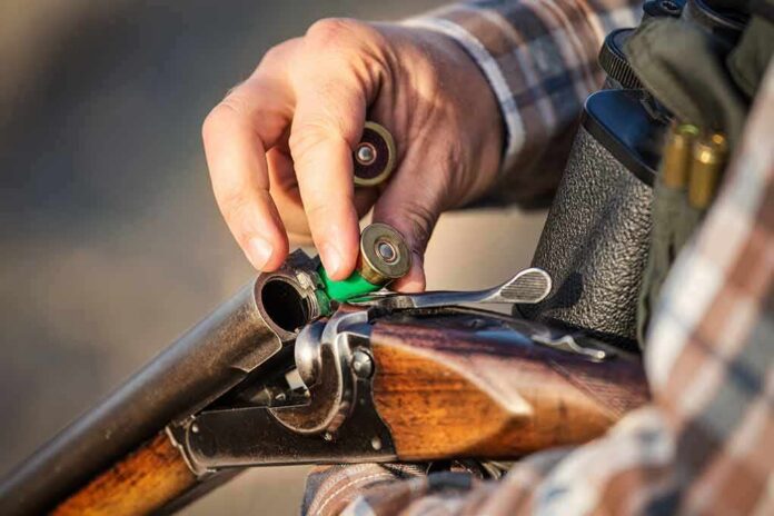 Hand loading shells into a break-action shotgun