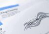 48-Hour Ultimatum: California Ballots Isolated? Official election mail envelopes with county label