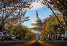 Trump Targets Fed Governor – Career On The Line United States Capitol dome framed by a tree-lined street